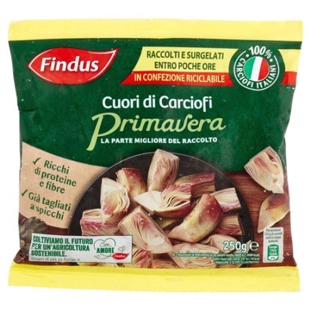 FINDUS CUORI CARCIOFI GR 250