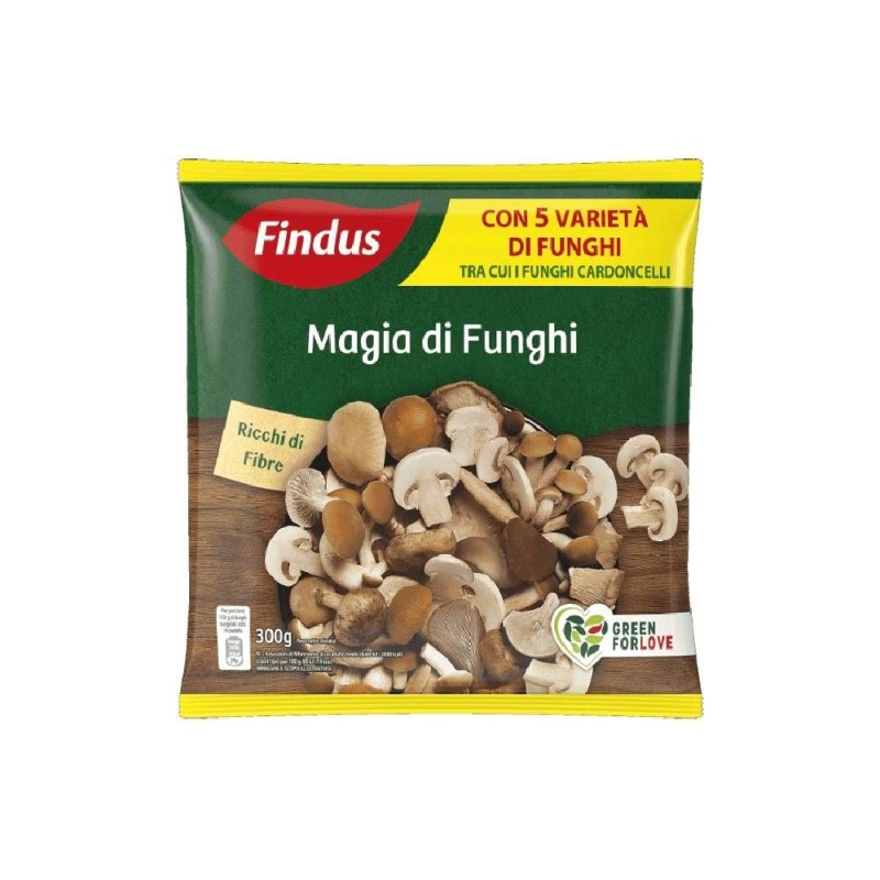 FINDUS MAGIA DI FUNGHI GR 300