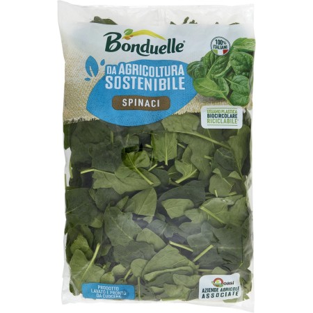 BONDUELLE SPINACI GR.350