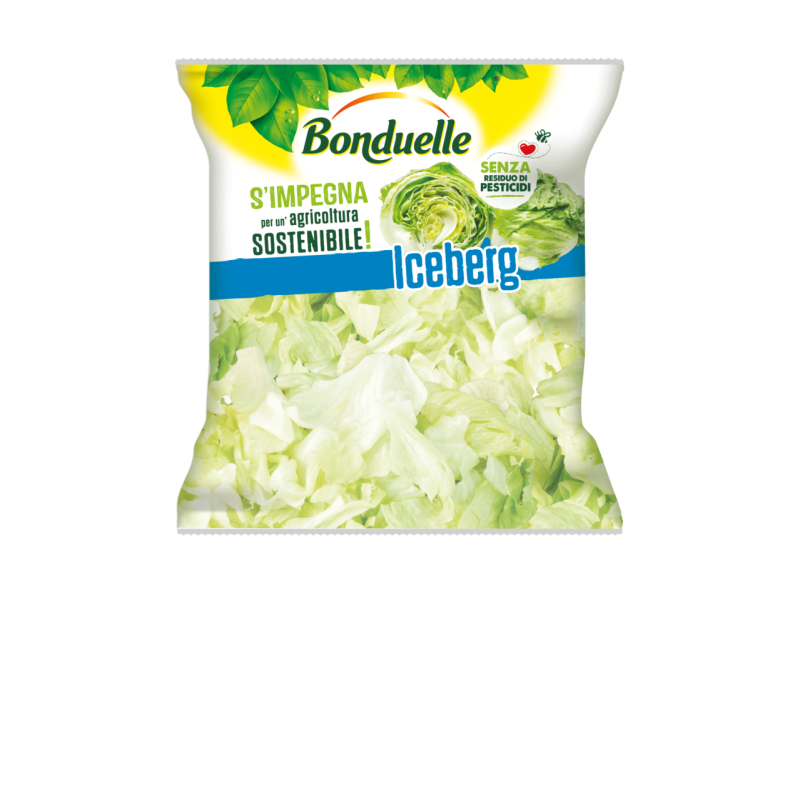 BONDUELLE ICEBERG GR 200