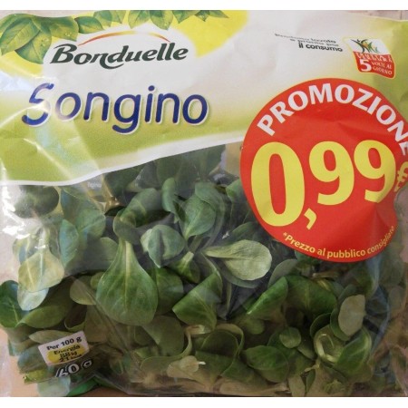 BONDUELLE SONGINO GR 60