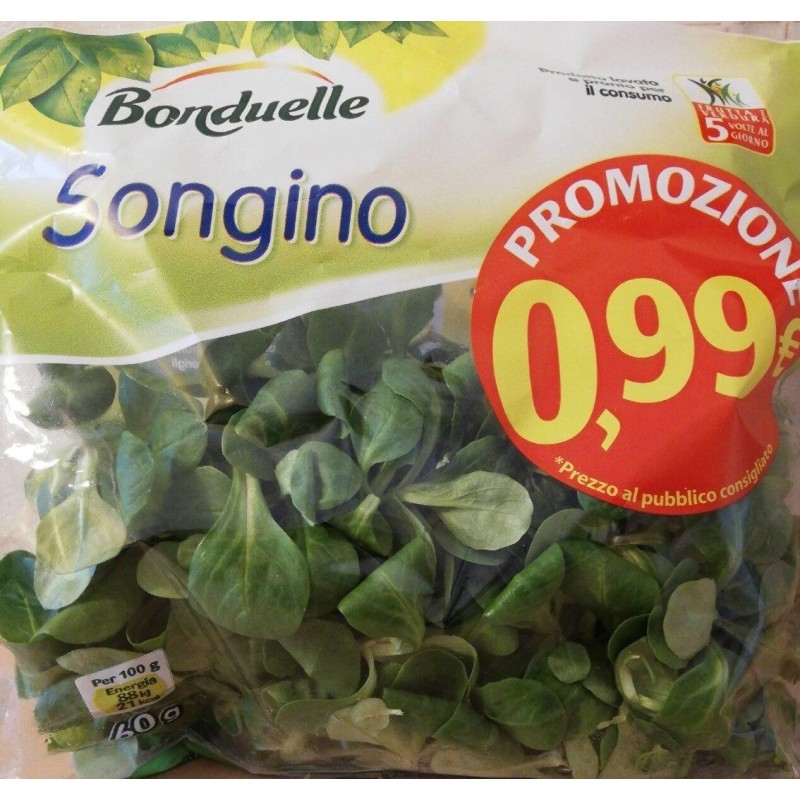 BONDUELLE SONGINO GR 60