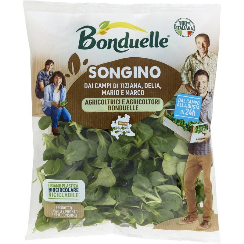 BONDUELLE SONGINO 60GR