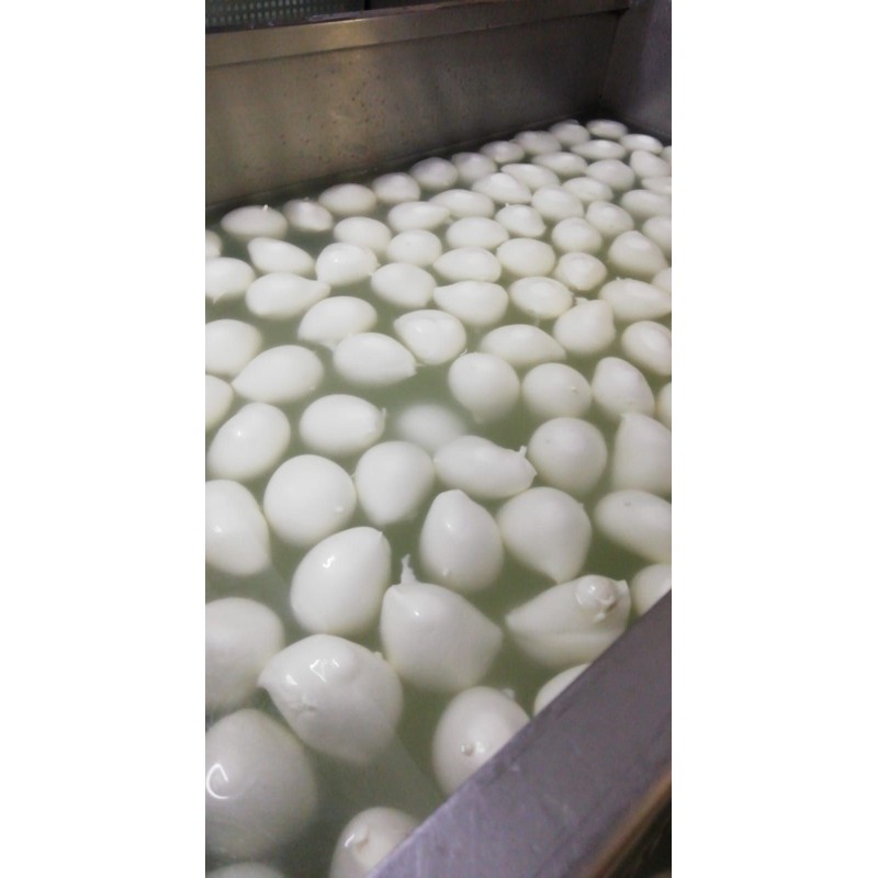 MOZZARELLA DI BUFALA AVERSANA DOP