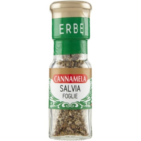 CANNAM VAS SALVIA FOGLIE