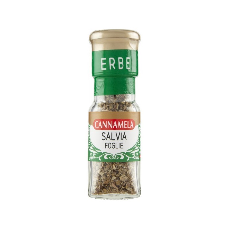 CANNAM VAS SALVIA FOGLIE