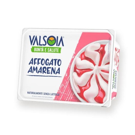 VALSOIA GELATO VASC GR.500 BIA AMARENA