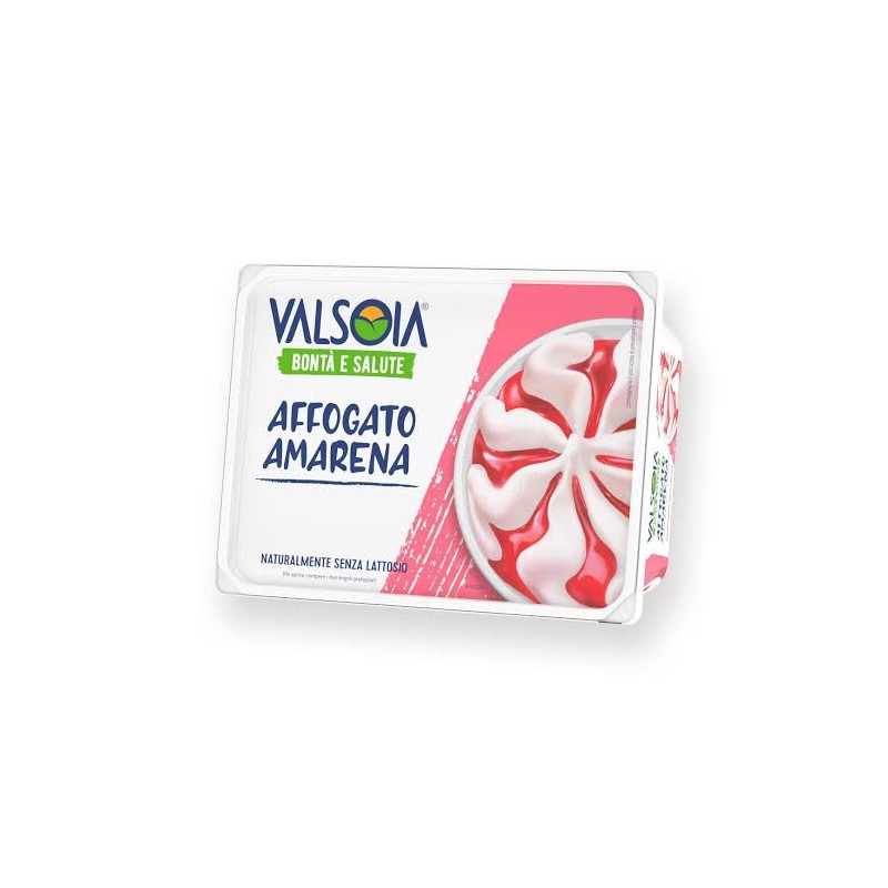 VALSOIA GELATO VASC GR.500 BIA AMARENA