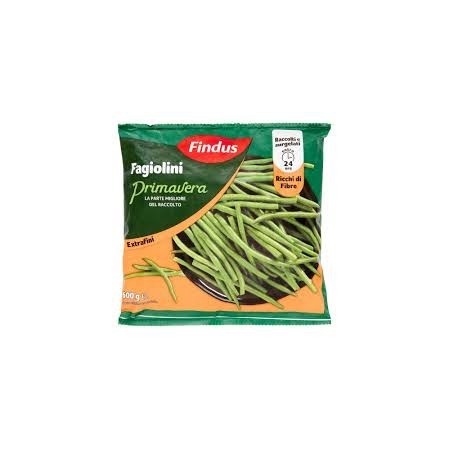 FINDUS FAGIOLINI PRIMAVERA GR 600