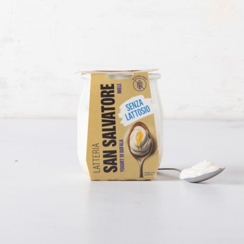 YOGURT BUFALA S.SALVATORE MIELE G 110