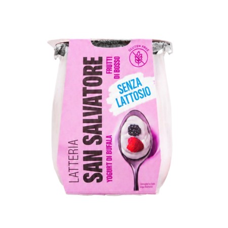 YOGURT BUFALA S.SALVATORE FR. BOSCO G 110