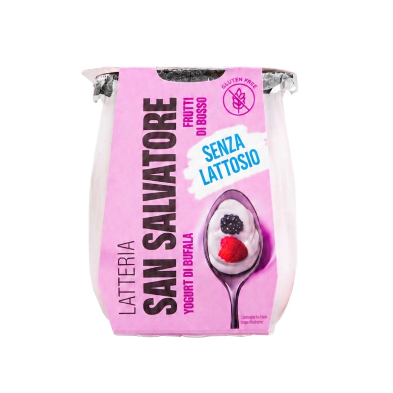 YOGURT BUFALA S.SALVATORE FR. BOSCO G 110