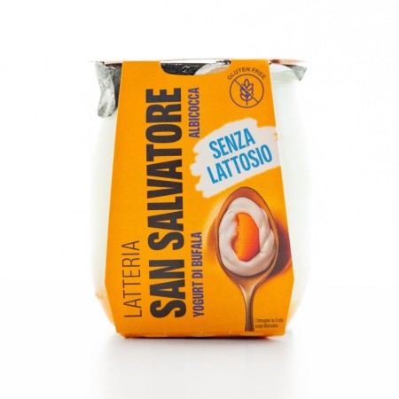 YOGURT BUFALA SAN SALVATORE ALBICOCCA G 110