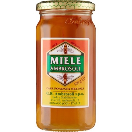 MIELE AMBROSOLI GR.500